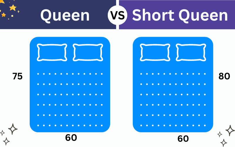 Queen Vs Short Queen